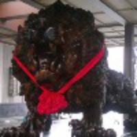 jeckly 报名时间:2020-04-02 22:22 jeckly 报名时间:2020-04-02 22:22